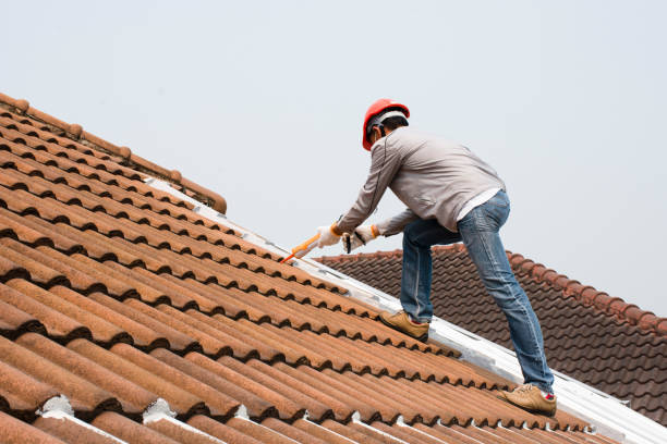 Best Gutter Installation and Repair  in Superior, AZ