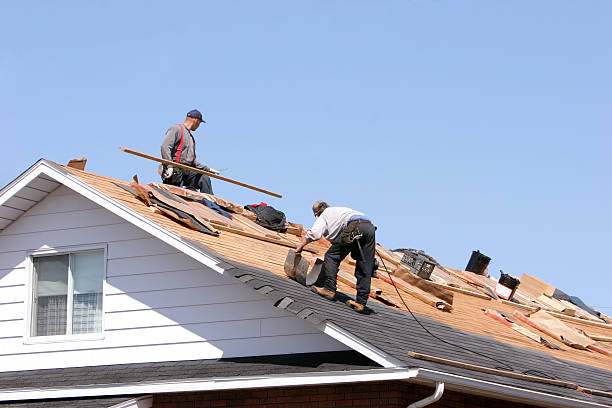 Best Metal Roofing Installation  in Superior, AZ
